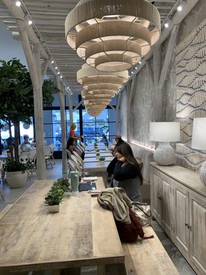 Pura Vida Miami by null