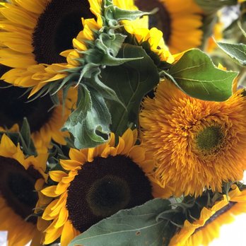 Ithaca Farmers' Market - More flowers - Farmers Market Near Me - Ithaca, New York