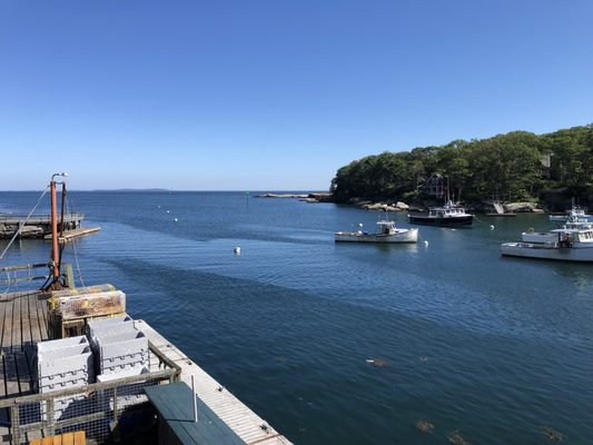 Shaw's Fish & Lobster Wharf by null