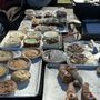 Sal & Jerry's Bakery