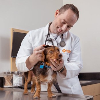 Banfield Pet Hospital - Veterinarians Near Me - Euless, Texas