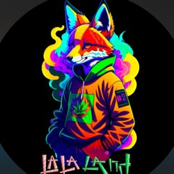 La la land smoke shop