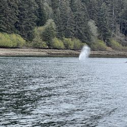 Glacier Wind Charters