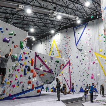 Fiddlehead Farm and Forest - Rock Climbing Near Me - Fletcher, North Carolina