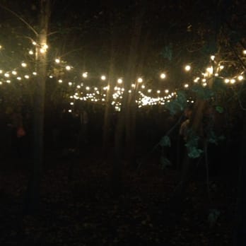 Gowanus Grove - Festivals Near Me - Brooklyn, New York