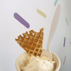 Astro Craft Ice Cream-Lutz - Toasted coconut
