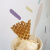 Astro Craft Ice Cream-Lutz gift card