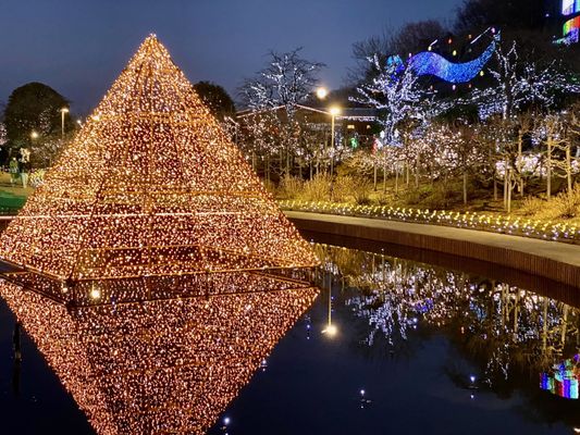 Ashikaga Flower Park by null
