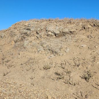 Pleasanton Ridge Regional Park - Parks Near Me - Pleasanton, California