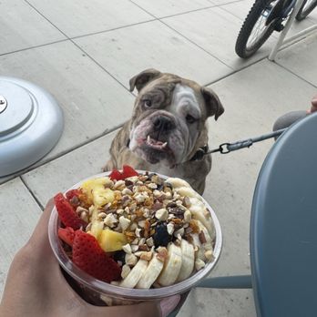Elite Experience: Blue Bowl - Yelp Events Near Me - Oceanside, California