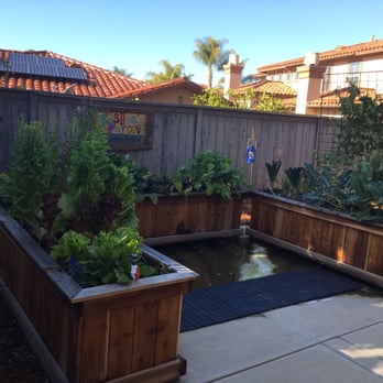 Full Moon Farms - 3 raised beds irrigated and planted by Full Moon. - Gardeners Near Me