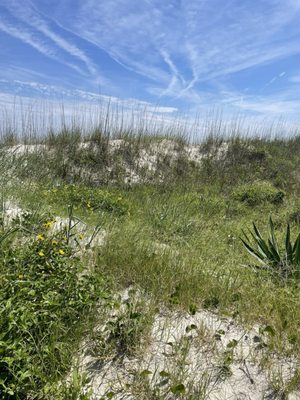 Sea Pines Beach Club by null
