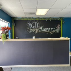 YGD’s Aquatics