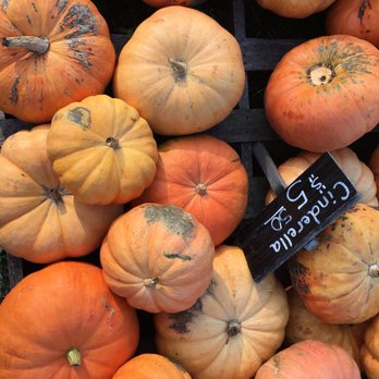 Kelp's Pumpkin Patch - Local Flavor Near Me Kelp's Pumpkin Patch - Local Flavor Near Me