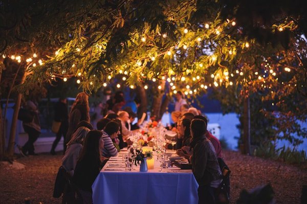 Rebec Vineyards by null