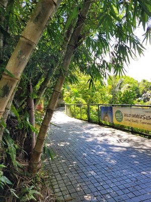 The Habitat Penang Hill by null