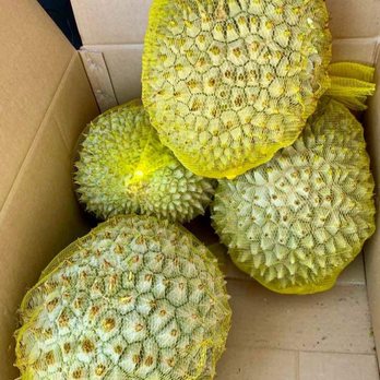 HN Mart Store - Fruits & Veggies Near Me - Westminster, California HN Mart Store - Fruits & Veggies Near Me - Westminster, California