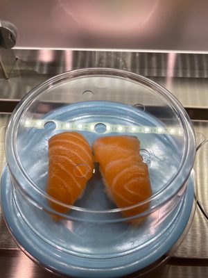 Mikami Bar & Revolving Sushi, Convoy San Diego by null