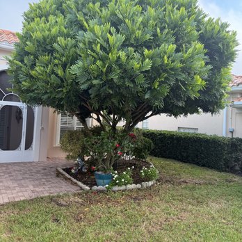 Moon Valley Nurseries - Nurseries & Gardening Near Me - Naples, Florida