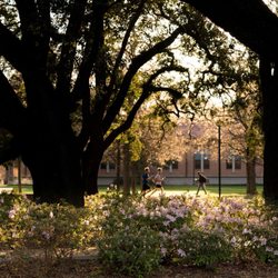 Rice University - Rice Campus in Spring