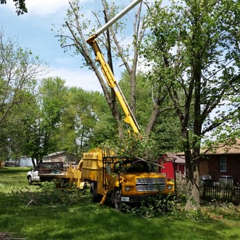 Madison County Tree Service - Tree Services Near Me - Cottage Hills, Illinois Madison County Tree Service - Tree Services Near Me - Cottage Hills, Illinois
