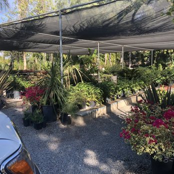Memo's Nursery - Nurseries & Gardening Near Me - Chino, California