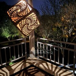 JC Raulston Arboretum - Moonlight in the Garden