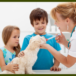 Lantana Veterinary Center
