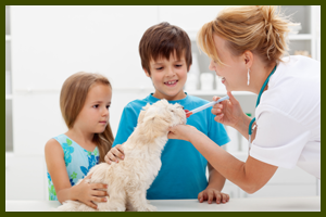 Lantana Veterinary Center - pet boarding facility in Hockessin, DE