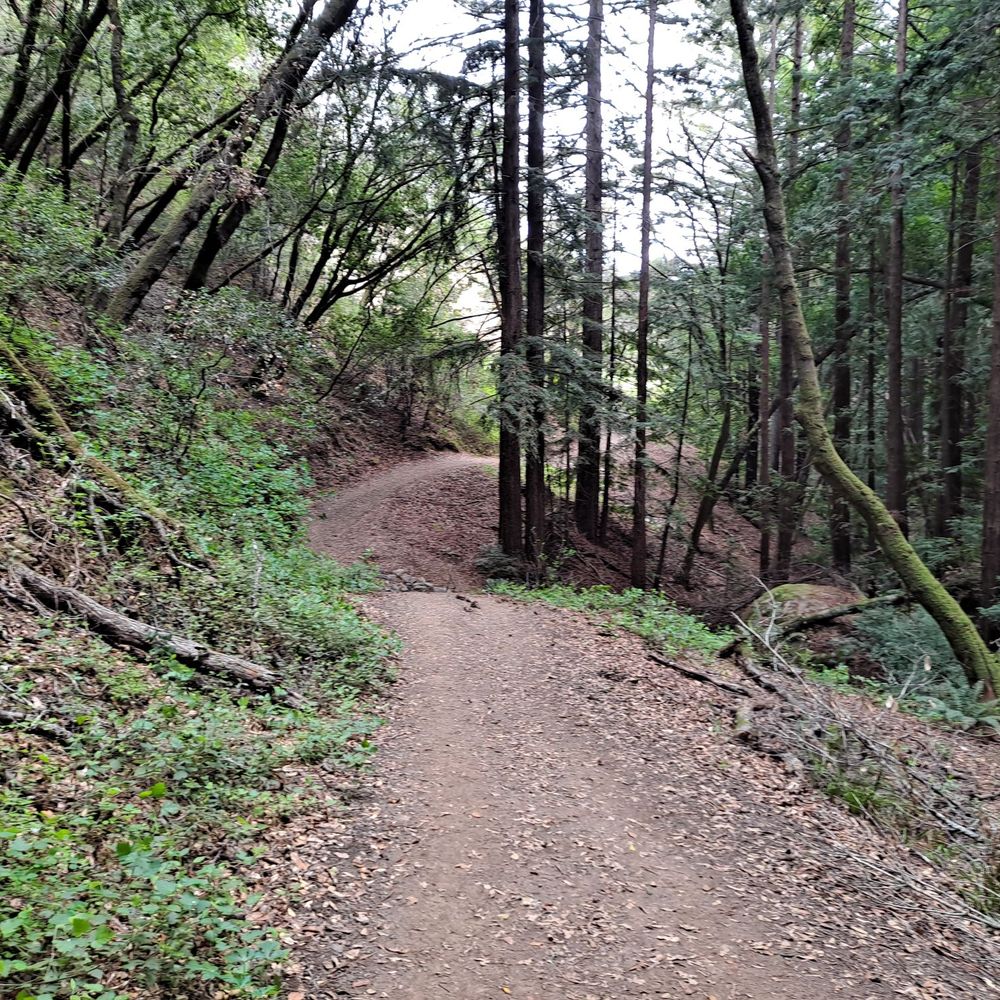 Mount Madonna County Park - Parks Near Me - Watsonville, California Mount Madonna County Park - Parks Near Me - Watsonville, California