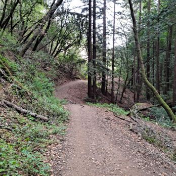 Mount Madonna County Park - Parks Near Me - Watsonville, California