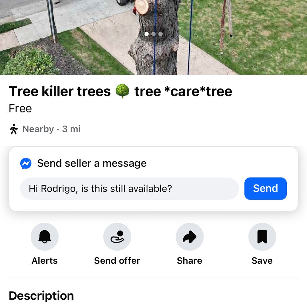 Banyan Tree Care - Tree Services Near Me Banyan Tree Care - Tree Services Near Me