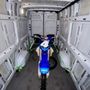 Photo of Global Goods Transport