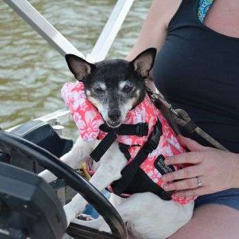 Lake Simtustus Resort and Marina  - Fishing Near Me - Madras, Oregon