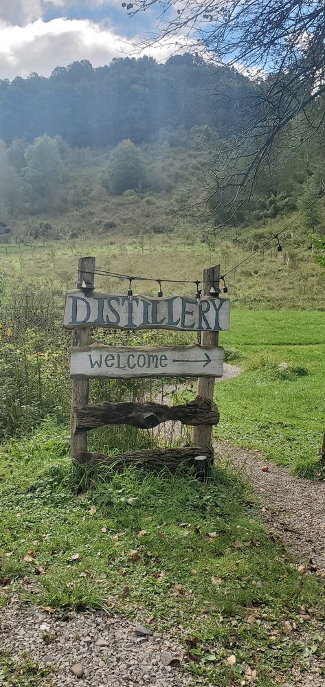 Still Hollow Spirits