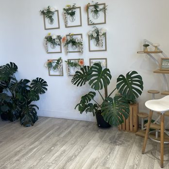 Plants and Juice Bar - Juice Bars & Smoothies Near Me - Rohnert Park, California Plants and Juice Bar - Juice Bars & Smoothies Near Me - Rohnert Park, California