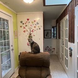 Purrsnickety Inn