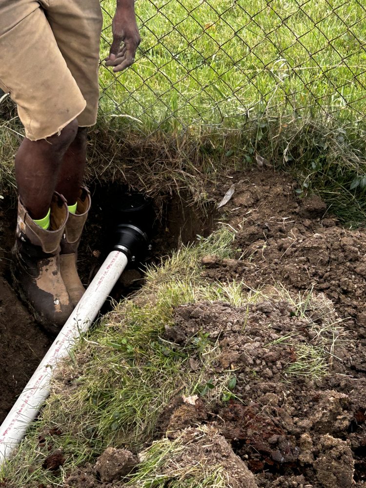 Slide of Shawn's Botany and Lanscaping