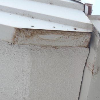 US Building Inspectors - active leak at the fascia - Home Inspectors Near Me US Building Inspectors - active leak at the fascia - Home Inspectors Near Me