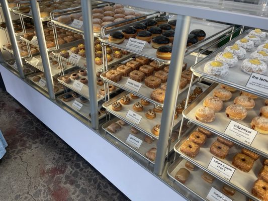 donut savant by null