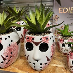 Spencer's - Nice planters