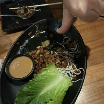 P.F. Chang's - New chicken, lettuce, wraps, stink! - Chinese Near Me - Northbrook, Illinois