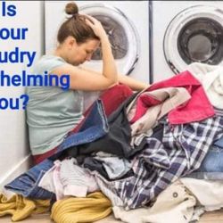 Lyon's Den Cleaning - Lyon's Den Cleaning offers Laundry Services.