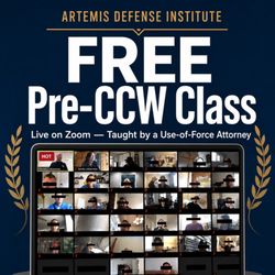 Artemis Defense Institute