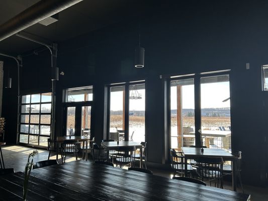 Queenston Mile Vineyard by null