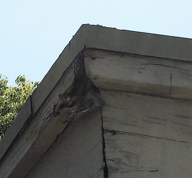 Slide of Joshua King Independent