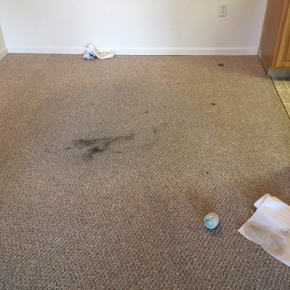 Woodland Lakes Apartments - This is what my apartment looked like the day I moved in. - Apartments Near Me - Lansing, Michigan Woodland Lakes Apartments - This is what my apartment looked like the day I moved in. - Apartments Near Me - Lansing, Michigan