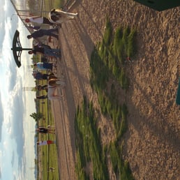 Another night at the bark park
