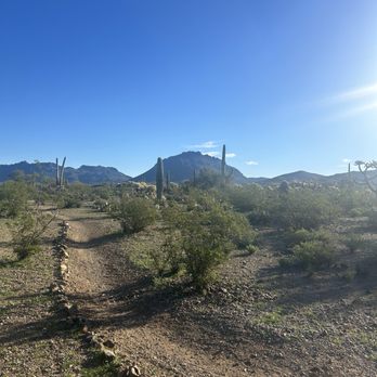 Justin's Diamond J RV Park - Trail behind park - Campgrounds Near Me - Tucson, Arizona Justin's Diamond J RV Park - Trail behind park - Campgrounds Near Me - Tucson, Arizona