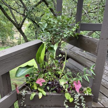 Conestoga Nursery - Nurseries & Gardening Near Me - East Earl, Pennsylvania